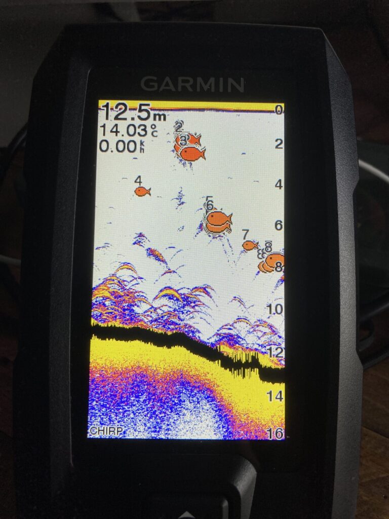 Traditional画面にベイトの反応が映っている魚探ディスプレイの写真