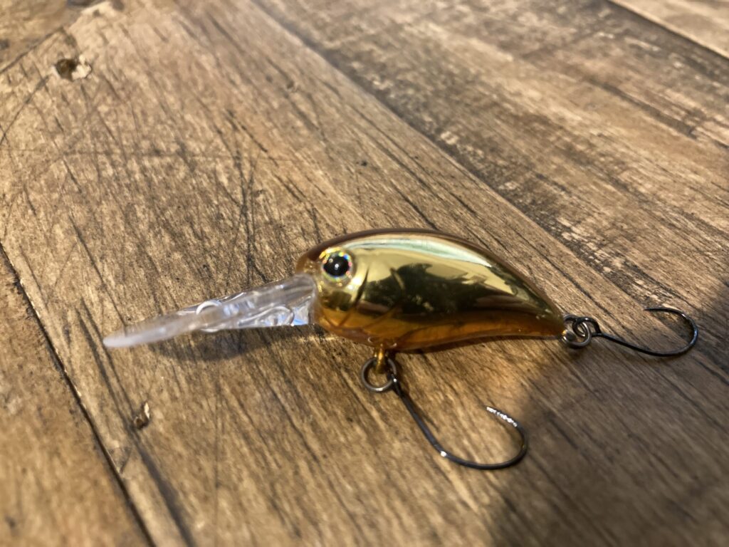 パニクラDR金の横姿。放流で強くアピールするボディ形状とカラー