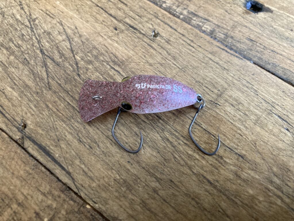 ちびパニクラ（レッドグロー）の外観とボディサイズがわかる写真。