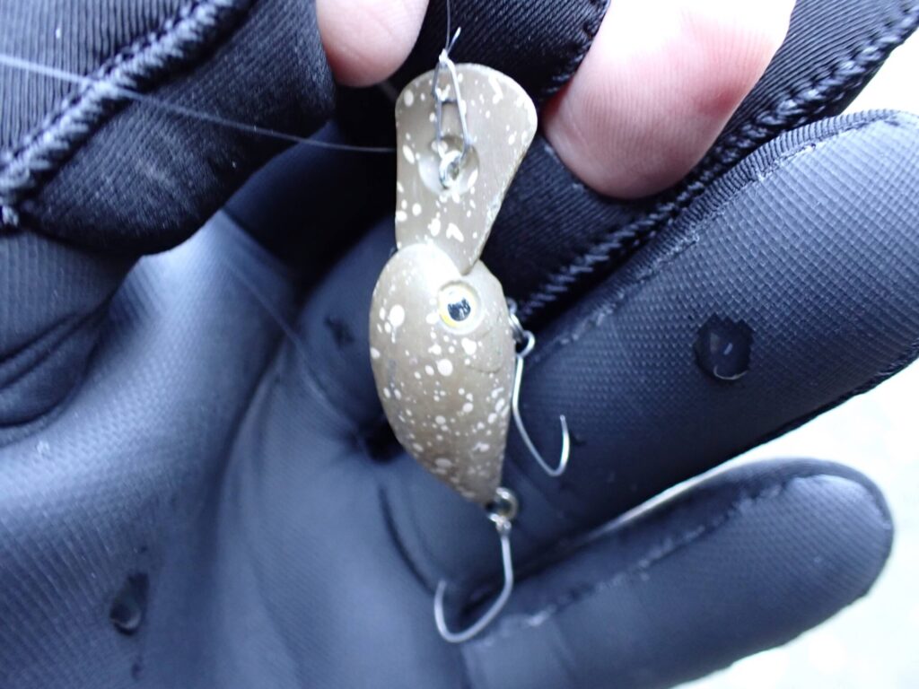 パニクラMRの現場アップ写真