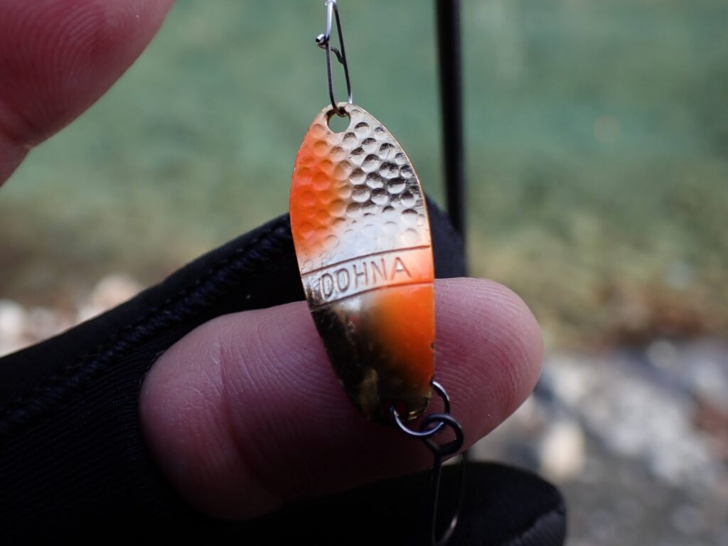 ドーナ2.０gをエリアで使っている写真