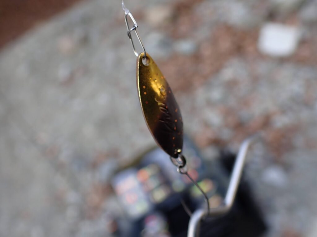 Khor1.6gのエリアでの接写