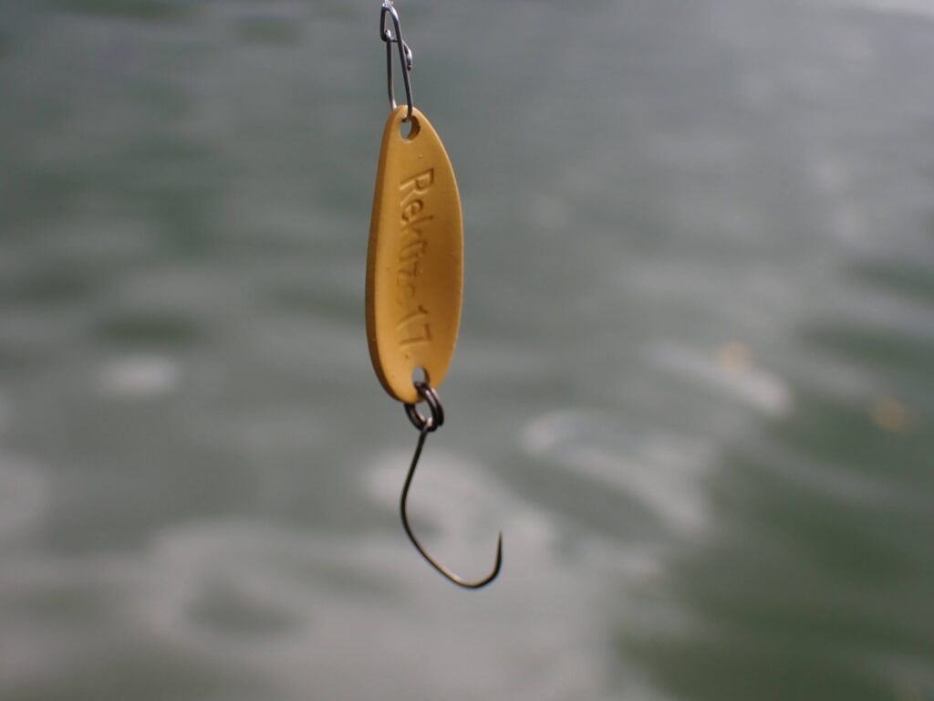 リクーゼ1.7gカラシのアップ写真