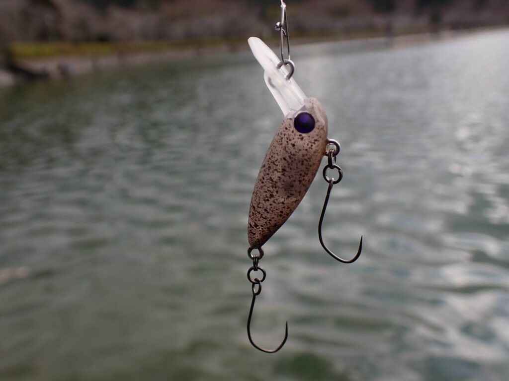 USSAのアップ写真