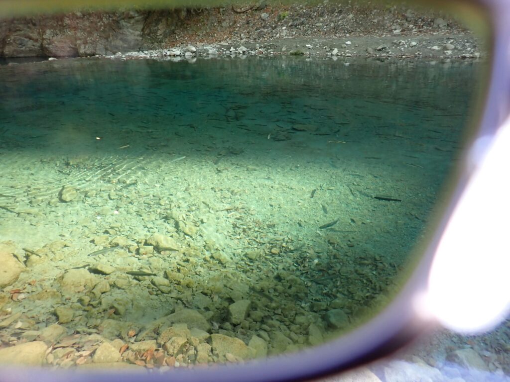 偏光サングラスでエリアの水中を見ている時の画像