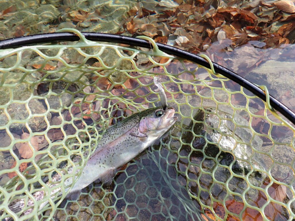 エリアT2のマジックジャークで魚を釣っているシーン