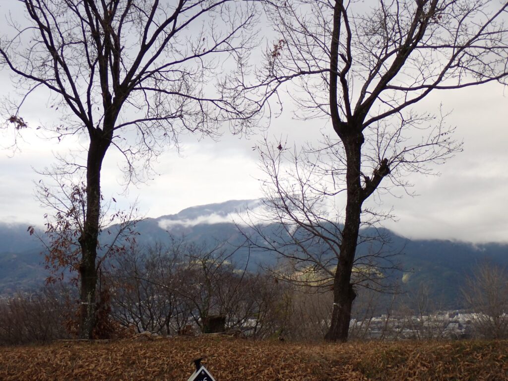 キャンプ場の風景