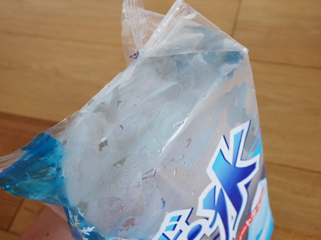 24時間後のブロック氷の状態