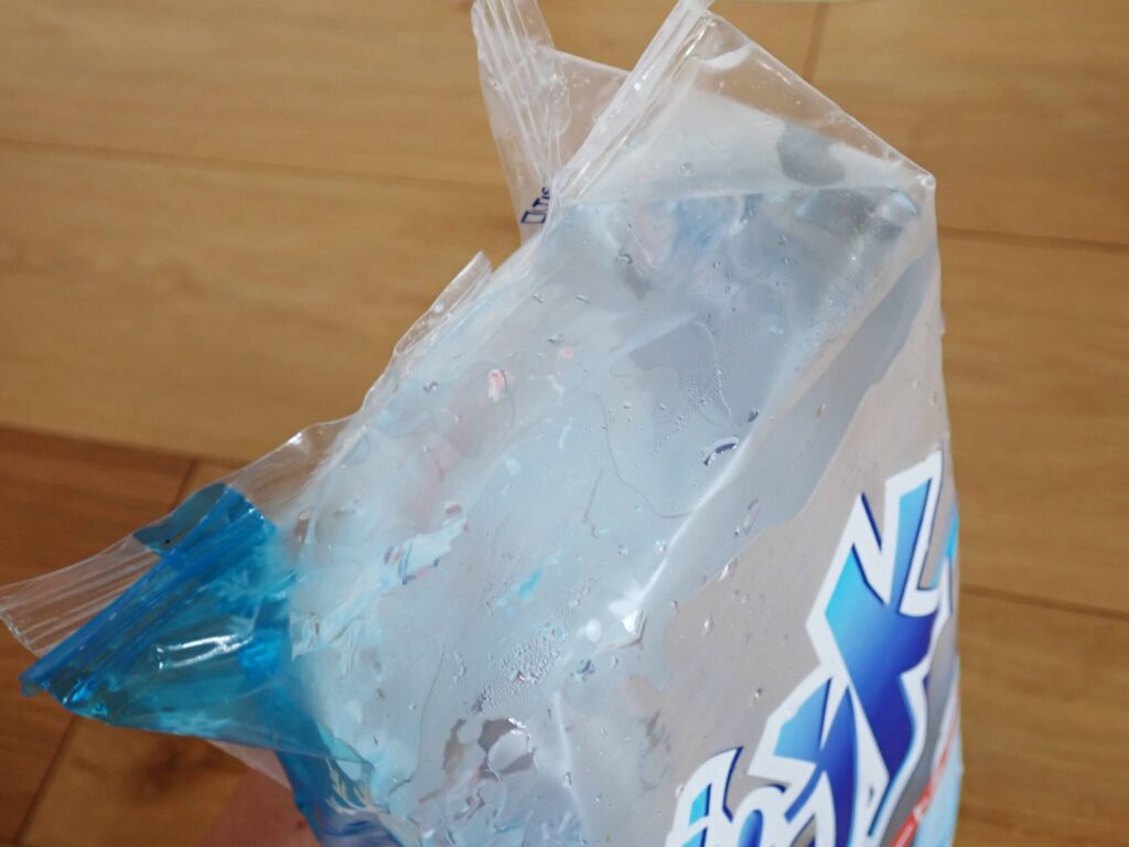 ブロック氷の溶け残った状態