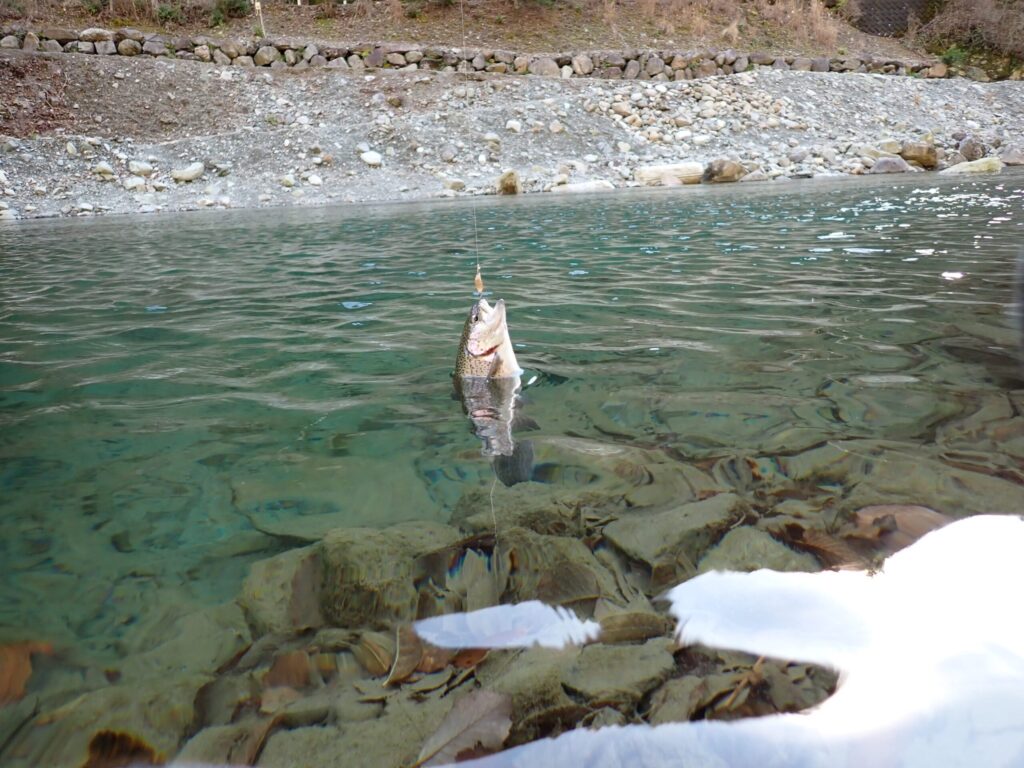 ハントでトラウトを釣っているシーン