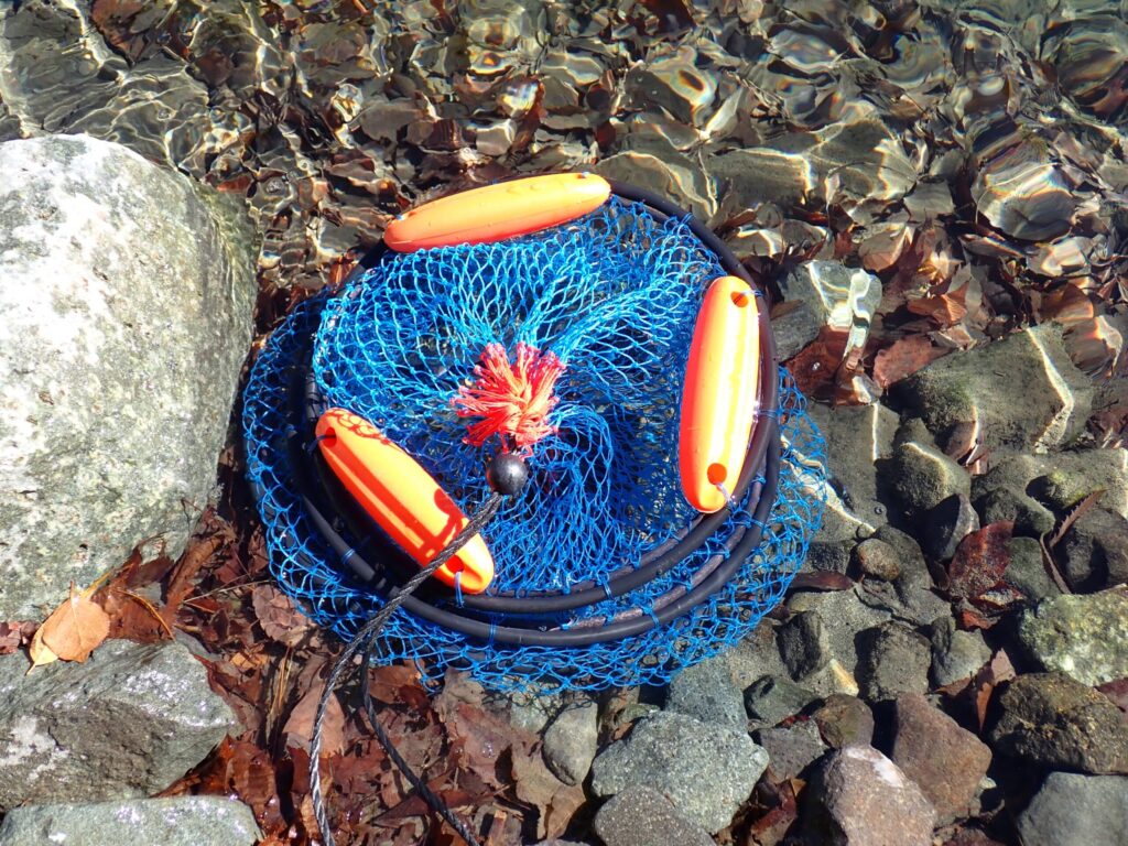 スカリを川に入れている様子