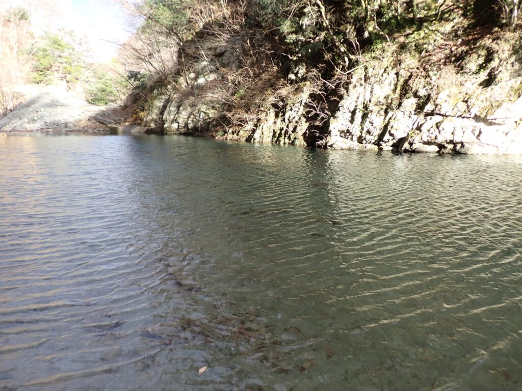 冬のエリアトラウトの様子