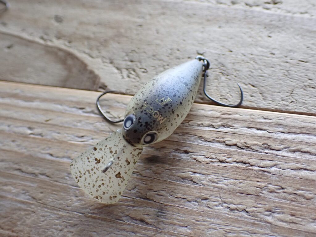 モカDR Fのアップ写真