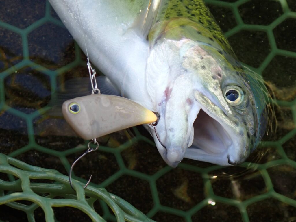 タップダンサーでトラウトを釣ったシーン