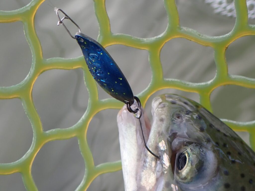 グラビティでトラウトをネットインしたシーン