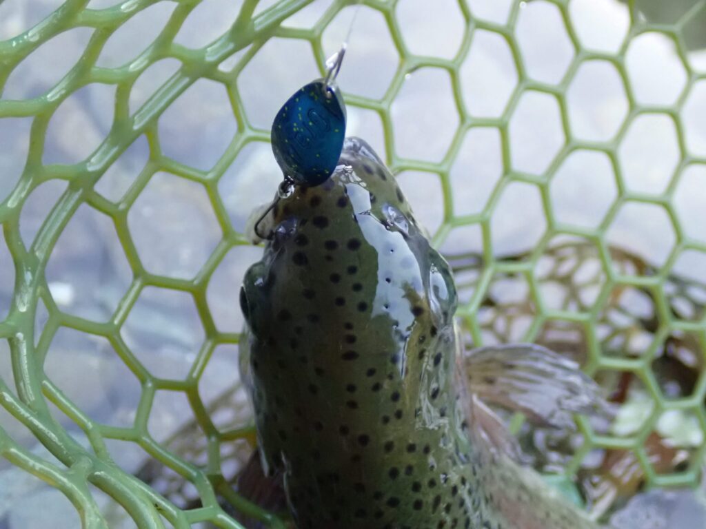 グラビティ マッチーラグーンでトラウトを釣っているシーン