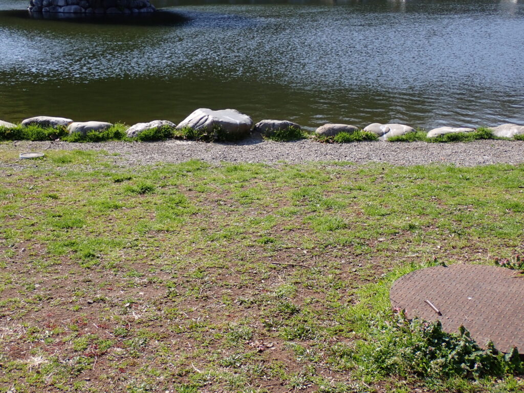 整備されたポンドの様子