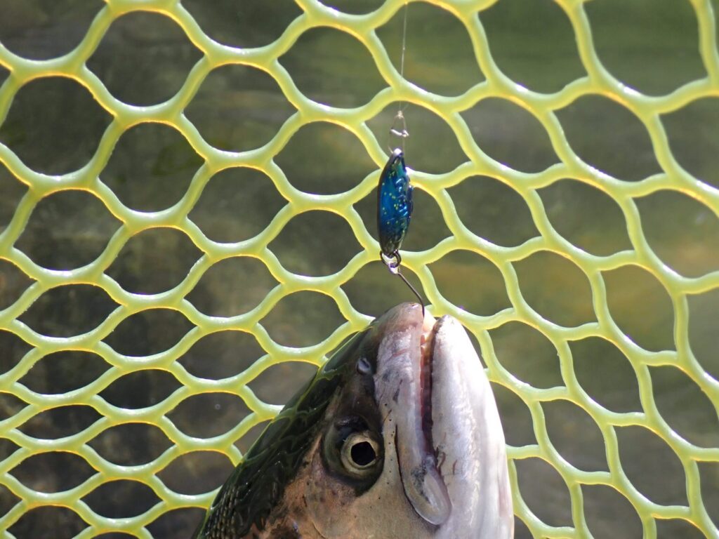 グラビティでトラウトをネットインしたシーン