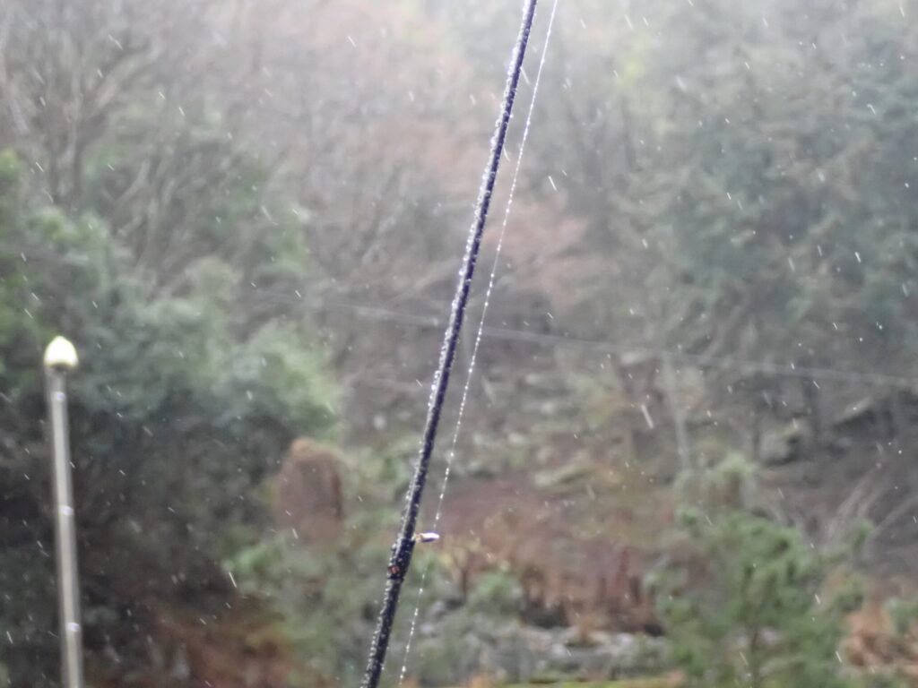 春の雨の日、トラウトロッドが雨に濡れている様子