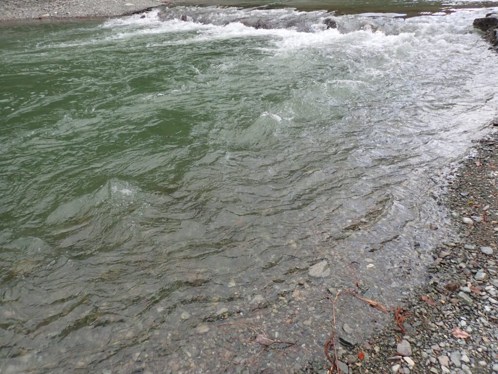 増水しているストリームエリアの様子