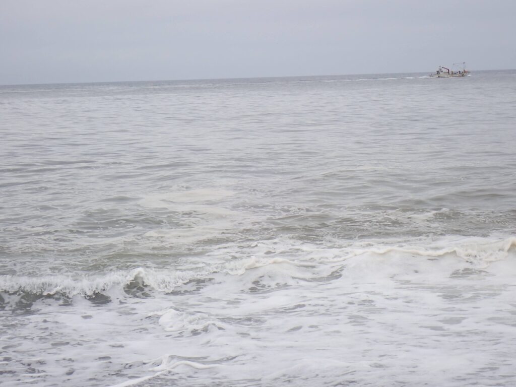 河川から海へ流れ込む濁りの様子