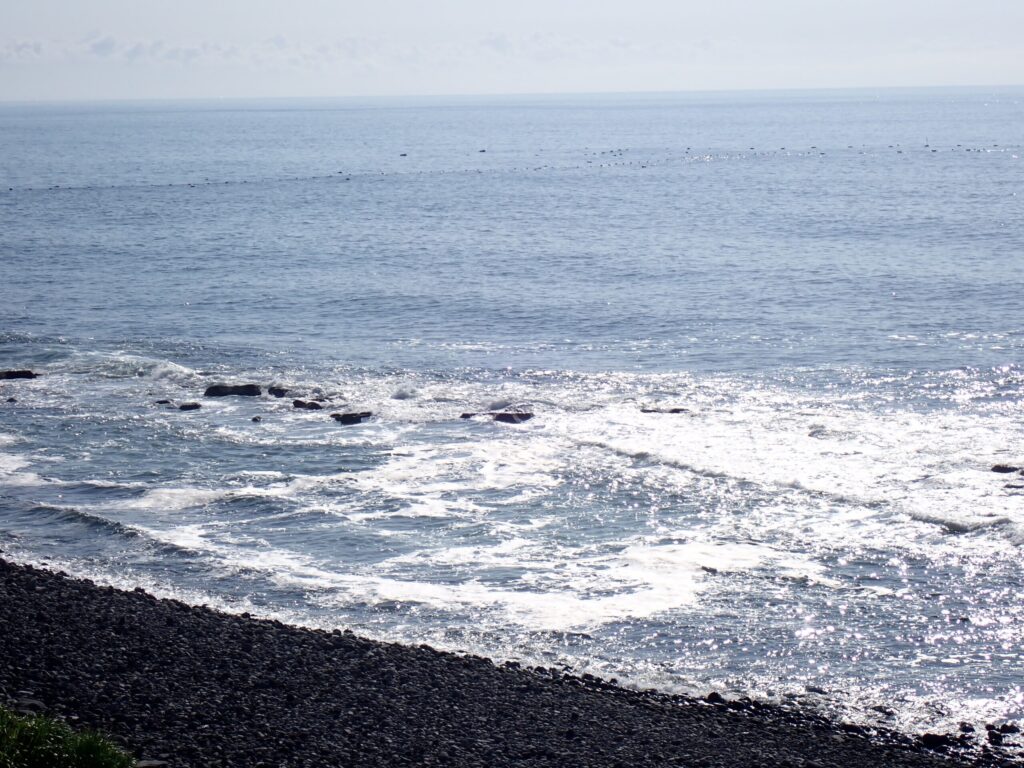 波高1.5m、周期12秒前後の海岸
