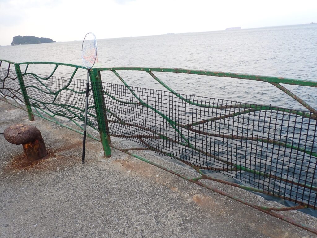 海釣り公園の様子