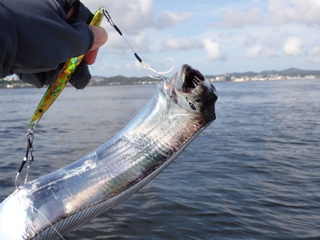 ダイソージグ80gで釣ったタチウオ