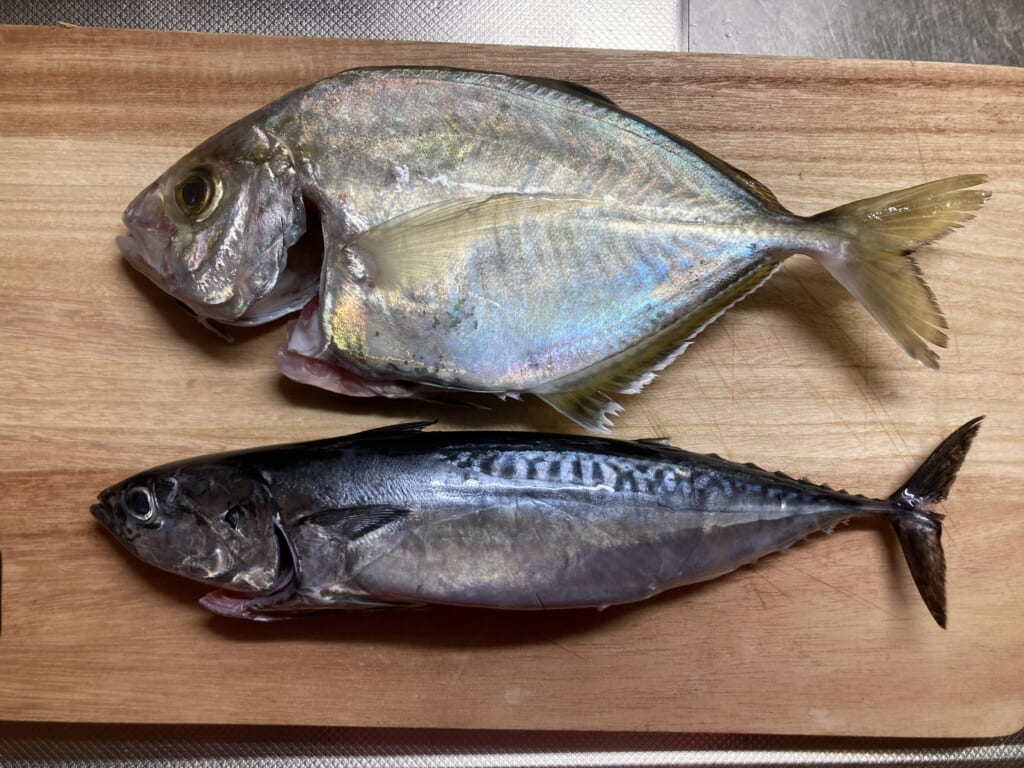 釣ったソウダガツオをまた板に乗せているシーン